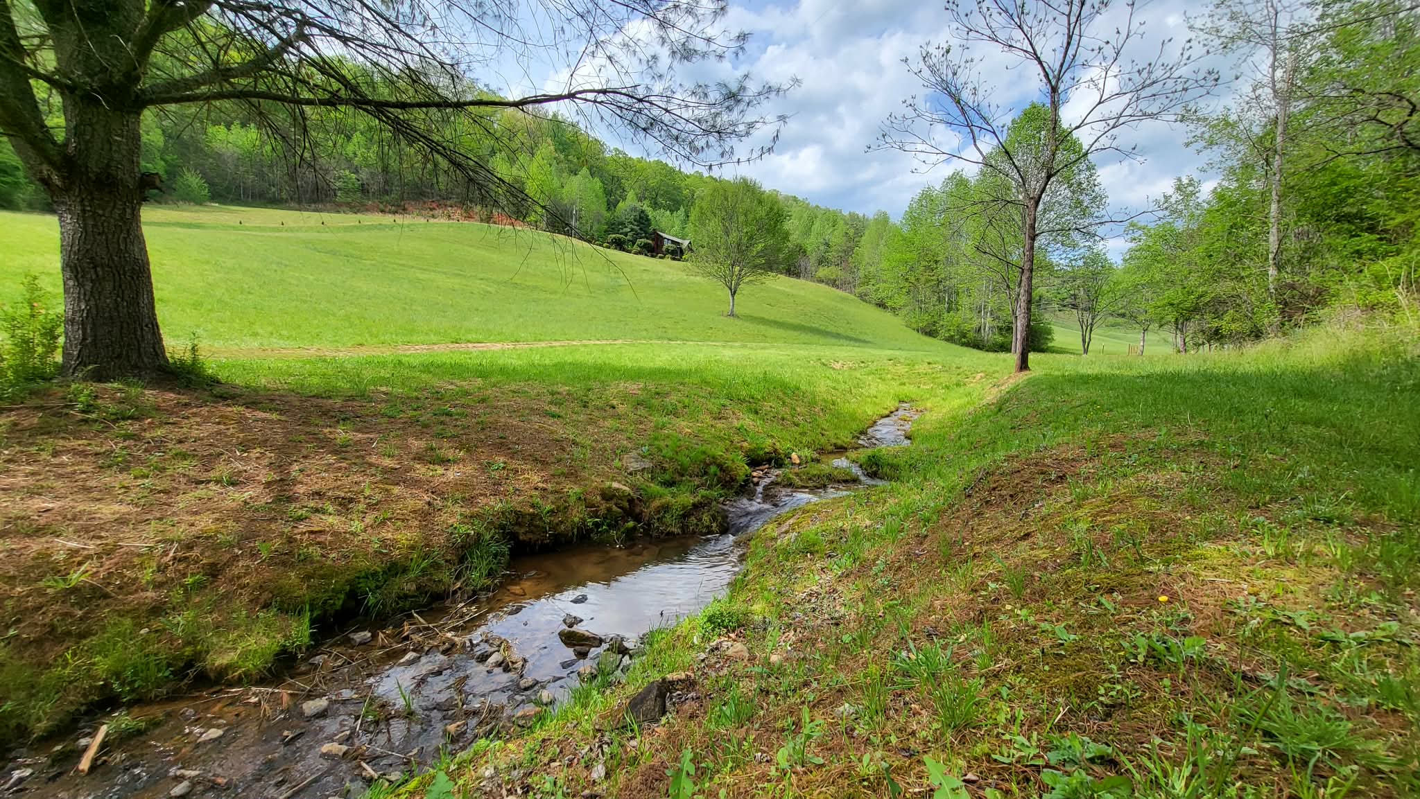 Year-round creek running through the property