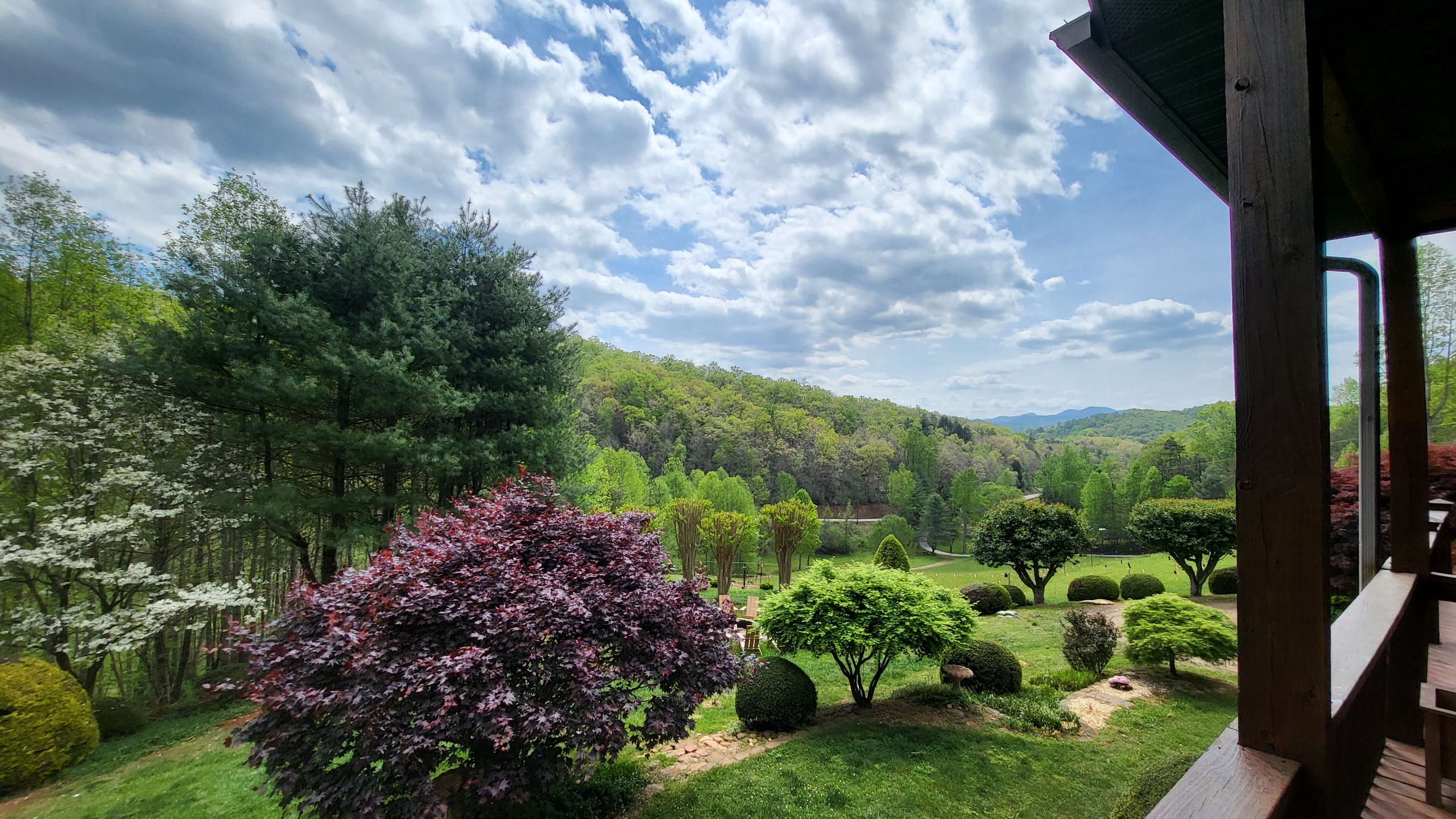Panoramic mountain view from the deck with dogwoods and Japanese maple in spring
