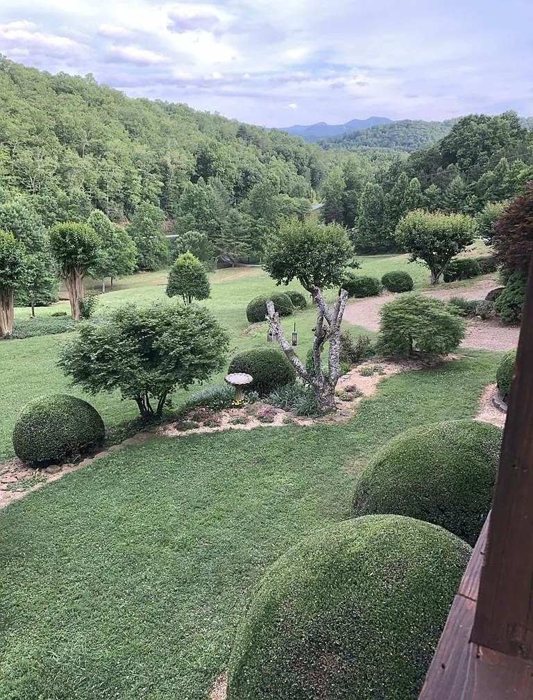 Panoramic mountain view from the deck with dogwoods and Japanese maple in spring