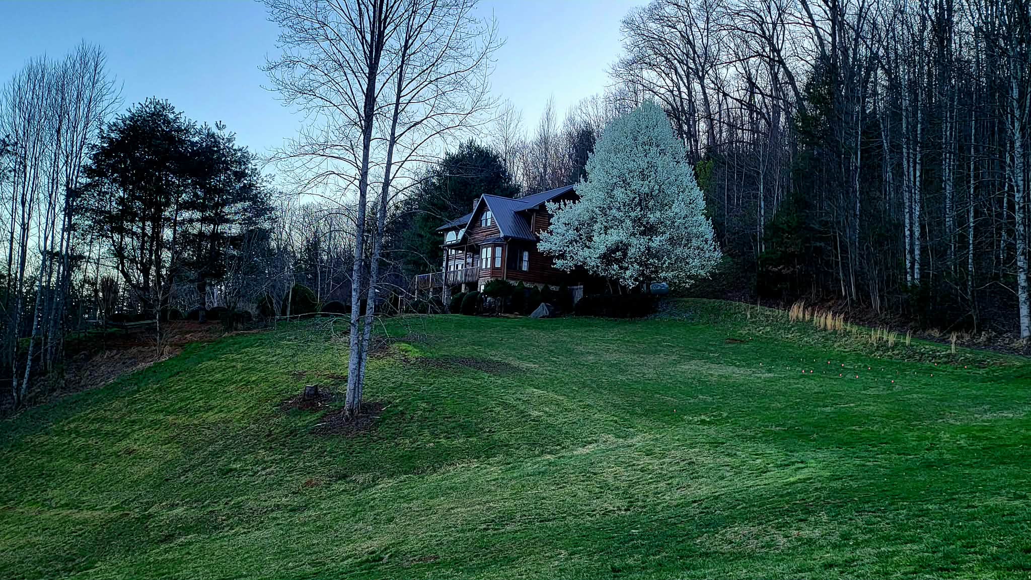 Manicured gardens and topiary with mountains in the distance
