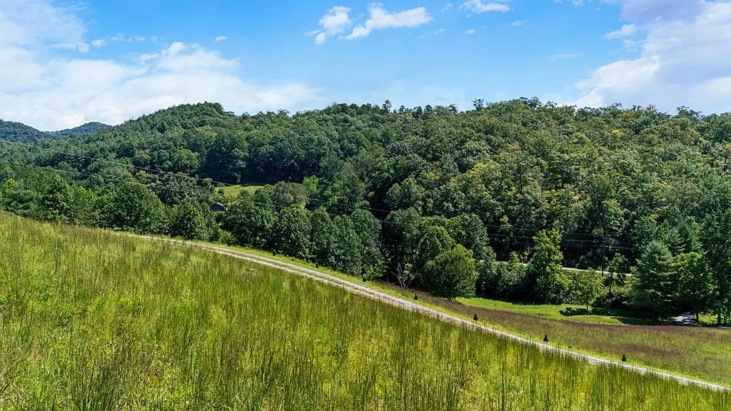 The estate grounds and rolling hillside